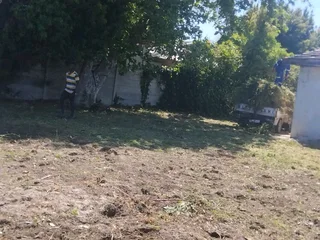 AFFORDABLE GARDEN REFUSE REMOVAL* TREE FELLING *STUMP REMOVAL*YARD CLEANING