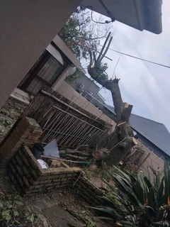 CHEAPEST PRICE FOR TREE FELLING *STUMP REMOVAL*YARD CLEANING SERVICES*