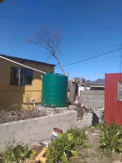 CHEAPEST PRICE FOR TREE FELLING *STUMP REMOVAL*YARD CLEANING SERVICES*