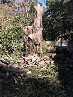 Ashley Garden Refuse Removal *yard Cleaning Services* Tree Felling And Garage Cleaning