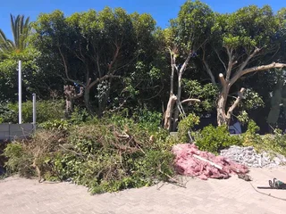 QUICK RESPOND GARDEN REFUSE REMOVAL *YARD CLEANING SERVICES* TREE FELLING *PLOT CLEANING