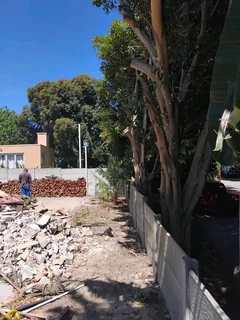 QUICK RESPOND GARDEN REFUSE REMOVAL *YARD CLEANING SERVICES* TREE FELLING *PLOT CLEANING