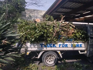 CAPE TOWN PLOT CLEANING* TREE FELLING*STUMP REMOVAL *YARD CLEANING SERVICES*