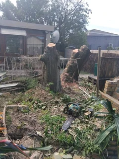 CAPE TOWN PLOT CLEANING* TREE FELLING*STUMP REMOVAL *YARD CLEANING SERVICES*