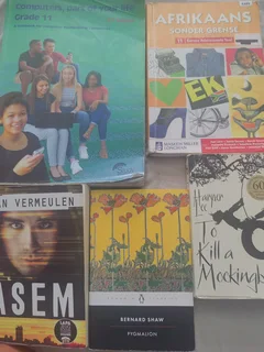 Grade 11, Textbooks IEB, good condition