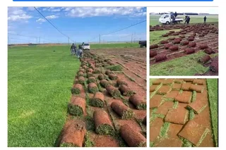 Grass supply and installation