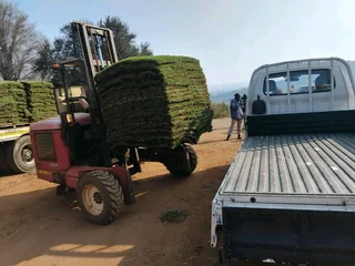 Grass supply and installation