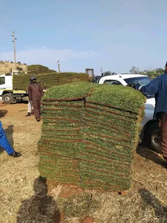 Grass supply and installation