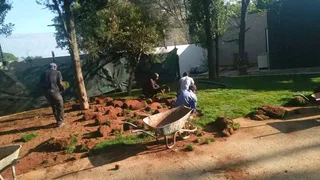 Grass supply and installation