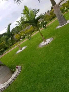 Grass supply and installation