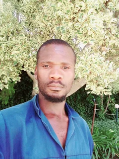 Landscaping garden job