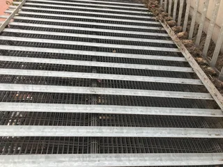 Fenc - Ad posted by Reginald Domoney