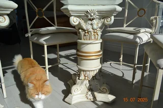 Dining table &amp; matching coffee table