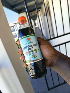 Chlorophyll juice