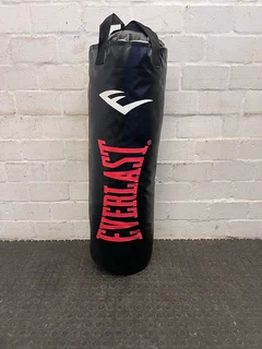 Everlast Punching  Bag- A47435