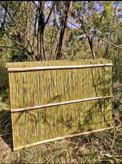 Egbamboo fence