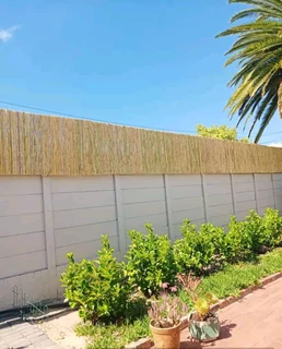 Bamboo fencing