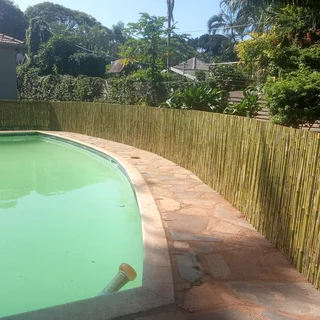 Bamboo fencing