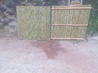 Bamboo fencing