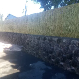 Bamboo fencing and wood