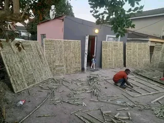 Bamboo fencing