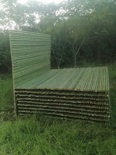 Bamboo fencing