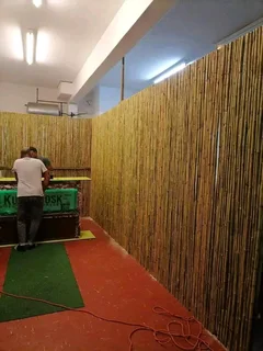 Bamboo fencing