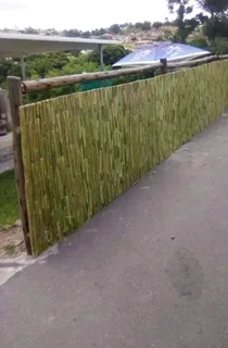 Bamboo fencing