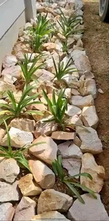 Dump rocks and crushed stones