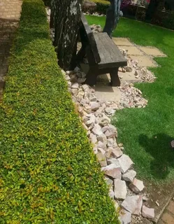 Garden stones / dump rocks and crushed stones