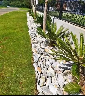 Dump rocks and crushed stones