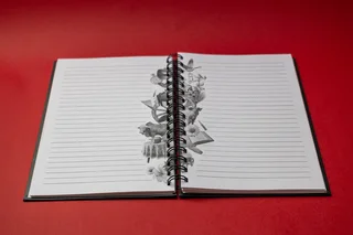 Skryf Joernaal (Siener)