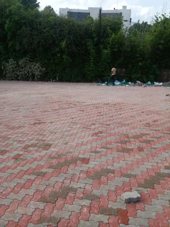 Brick paving and tar surfacing