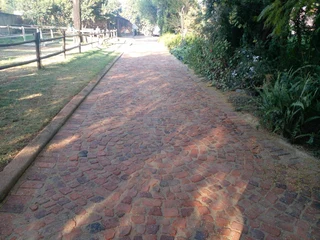 Cobble half brick paving and tar surfacing