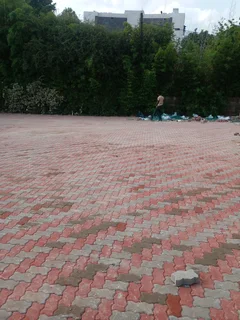 Brick paving and tar surfacing