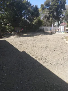 Tar surfacing and brick paving