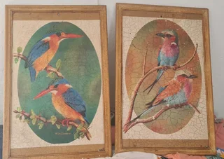 vintage kingfishers paintings