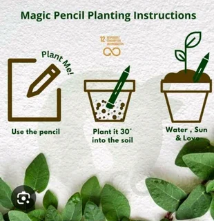 Sprouting plantable pencils