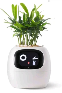 smart pet planter robot guidance on plant care with emojis,  plant companion with rich gestures