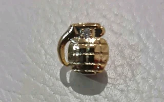 Grilz Single Tooth Silver And Gold  Sold Separately R200 EACH!! Read Ad For Description Of Them