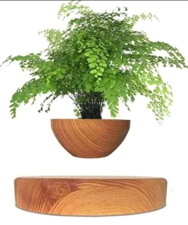 Levitating bonsai magnetically charged pot maclev designLevitating bonsai magnetically charged pot