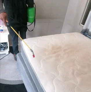 Bedbug and cocoroach control