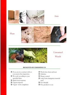 tshenolo Pest control services