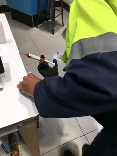 insects and rats control