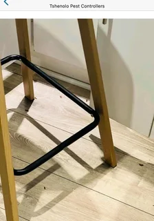 insects and rats control