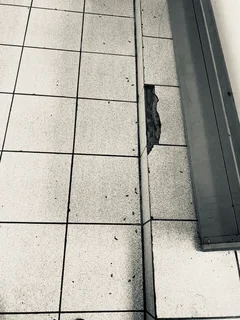 Pest control service contract request