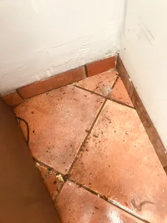 Tshenolo Pest control services