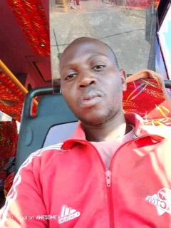 Bus driver or Truck driver