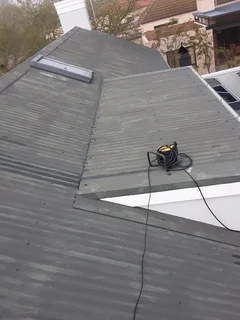 Roof cleaning and paint