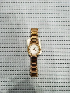 Ladies Dkny Watch (r1000)